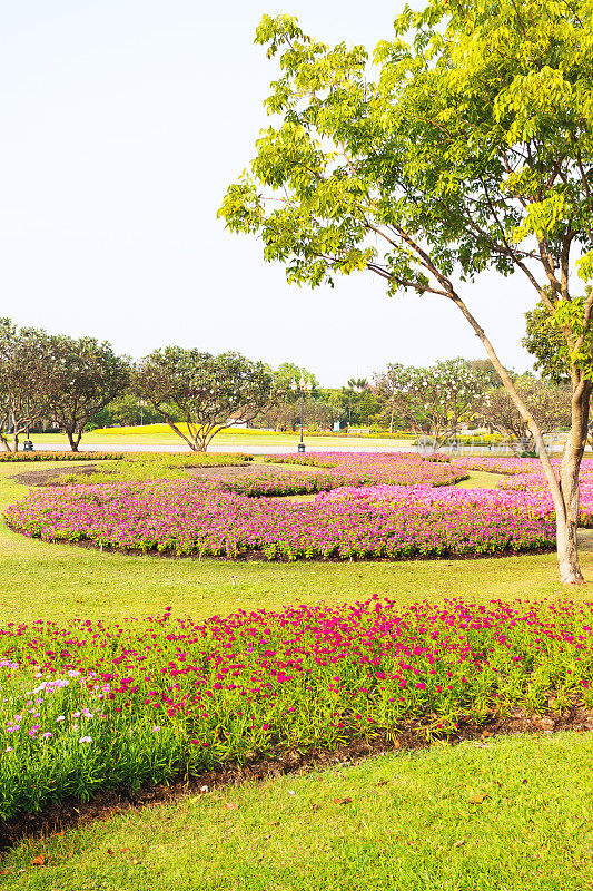 Suan Luang Rama IX公园的花坛